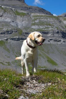 Security Enhancements in WPA3