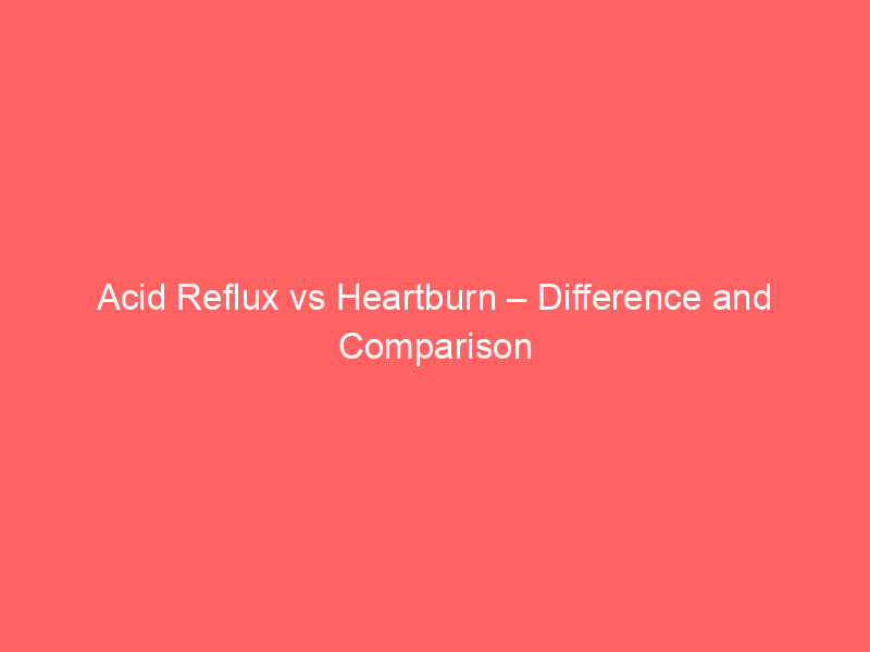 Acid vs Shroom – Difference and Comparison
