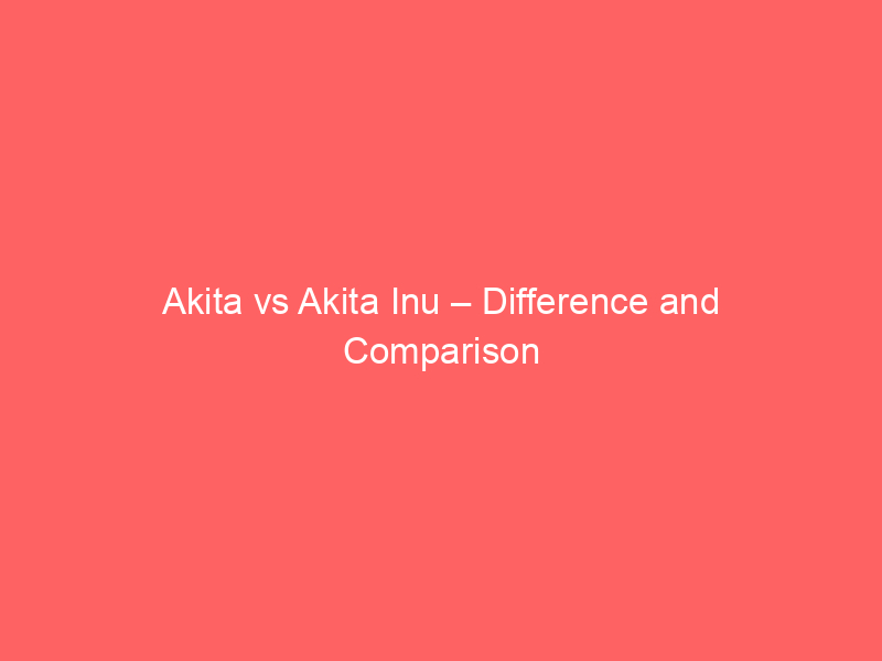 Akinesia vs Akathisia – Difference and Comparison