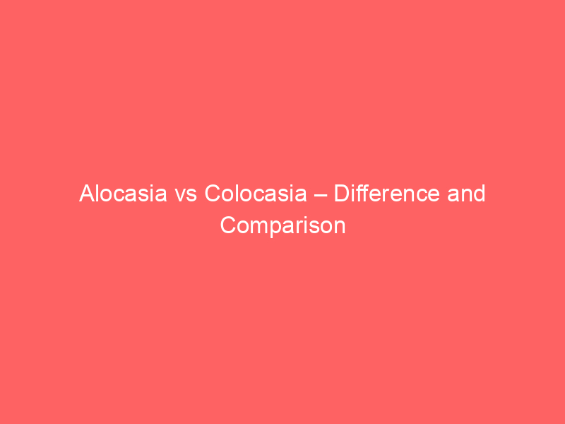 Acetone vs Chloroform – Difference and Comparison