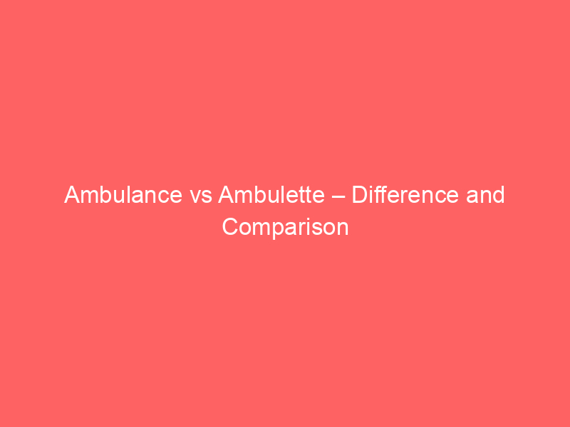 AMC vs TER – Difference and Comparison