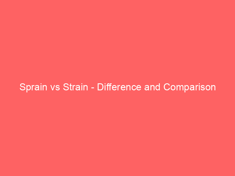 Ocean vs Sea – Difference and Comparison
