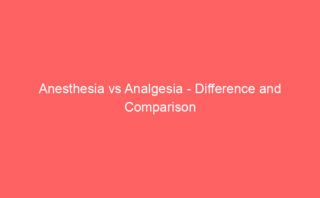 0.91 Acres to SQFT – Answer and Calculator Tool