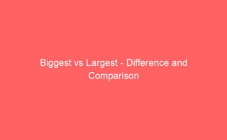 Lodge vs Inn – Difference and Comparison