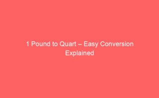 8.1 Kg to Pounds – Easy Conversion Explained