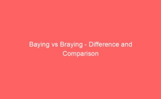 2500 Bar to Psi – Full Calculation Guide